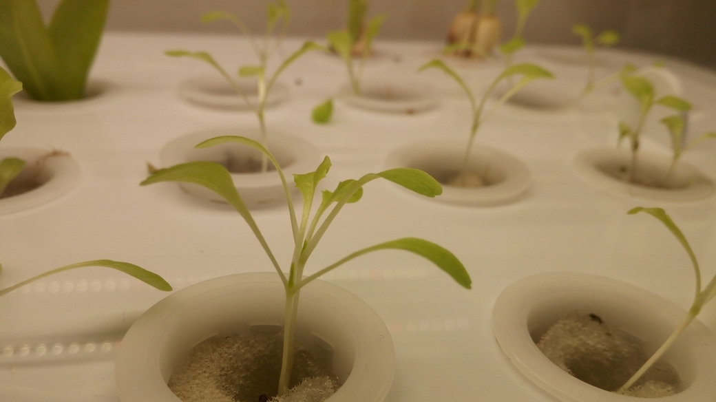 华为畅享5s缺点,我的青春我做主的心得体会