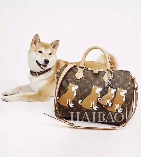 毕竟爱狗｜哈哈哈哈哈哈……听说你们要买狗年单品？我就真的不拦了！