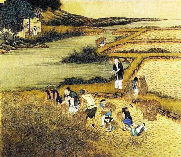 江西饶州的历史,饶州府城的文化记忆