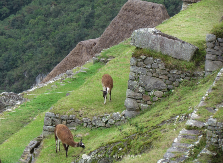 世界之窗马丘比丘迷城演出,马丘比丘迷城好玩吗