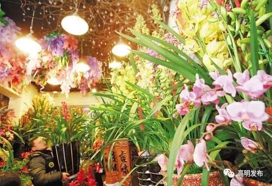 广东佛山花市游玩攻略,广东省佛山市行花街