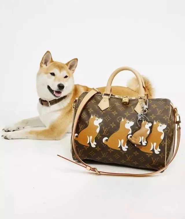 新年新气象新款,新年新潮限量款