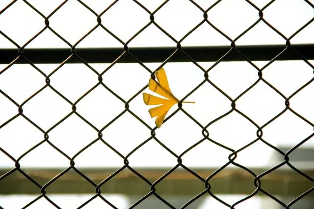 成都体育学院新校区交付,成都体育学院新校区最新消息