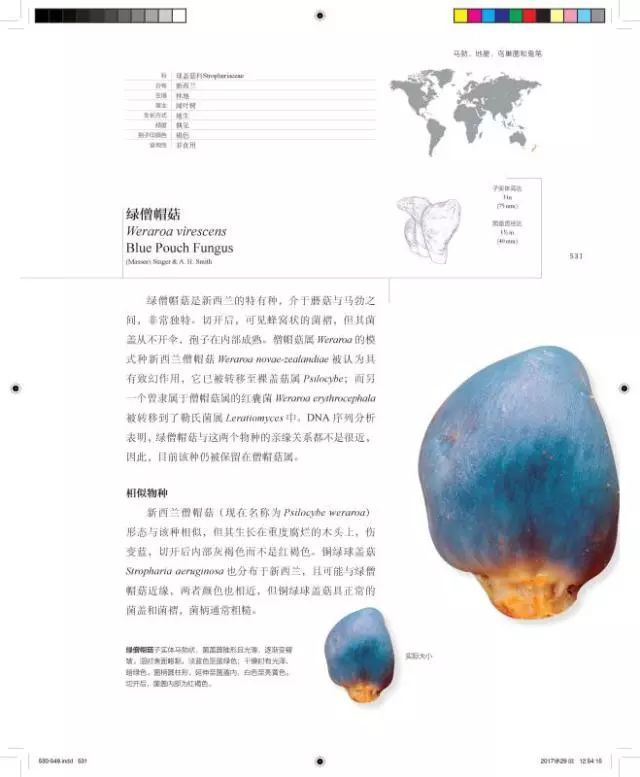 小心这些东西有毒千万别碰,小心有毒的蘑菇完整版