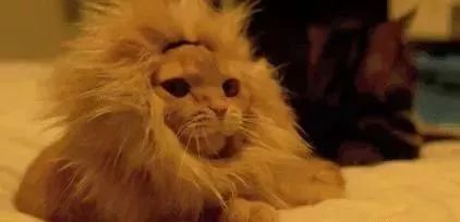 「岱检提醒」坐火车、飞机，这些东西不能带！