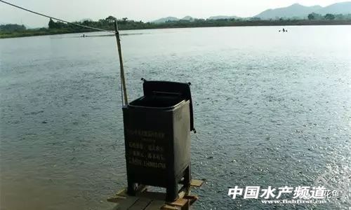 鱼病发病期,治疗鱼病的药物