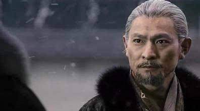 三国姜维的攻击力,三国演义对姜维的评价