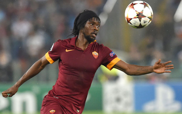 盘点世界上的鸟,盘点世界上鸟类排行