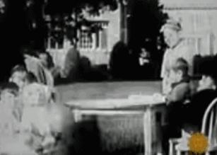 盘点世上的狗狗,盘点那些汪星人和喵星人