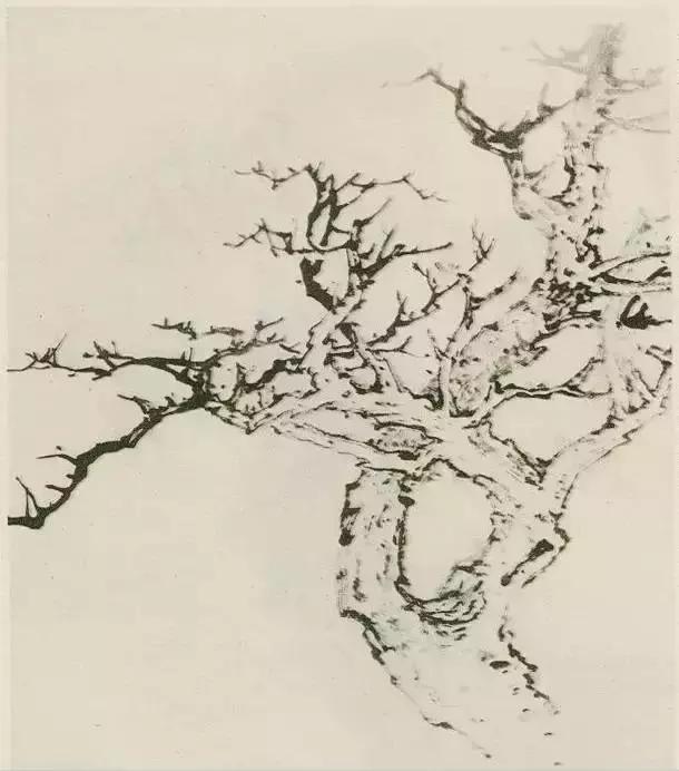 怎么画枯萎的树简单又好看,成长树怎么画小学生六年级