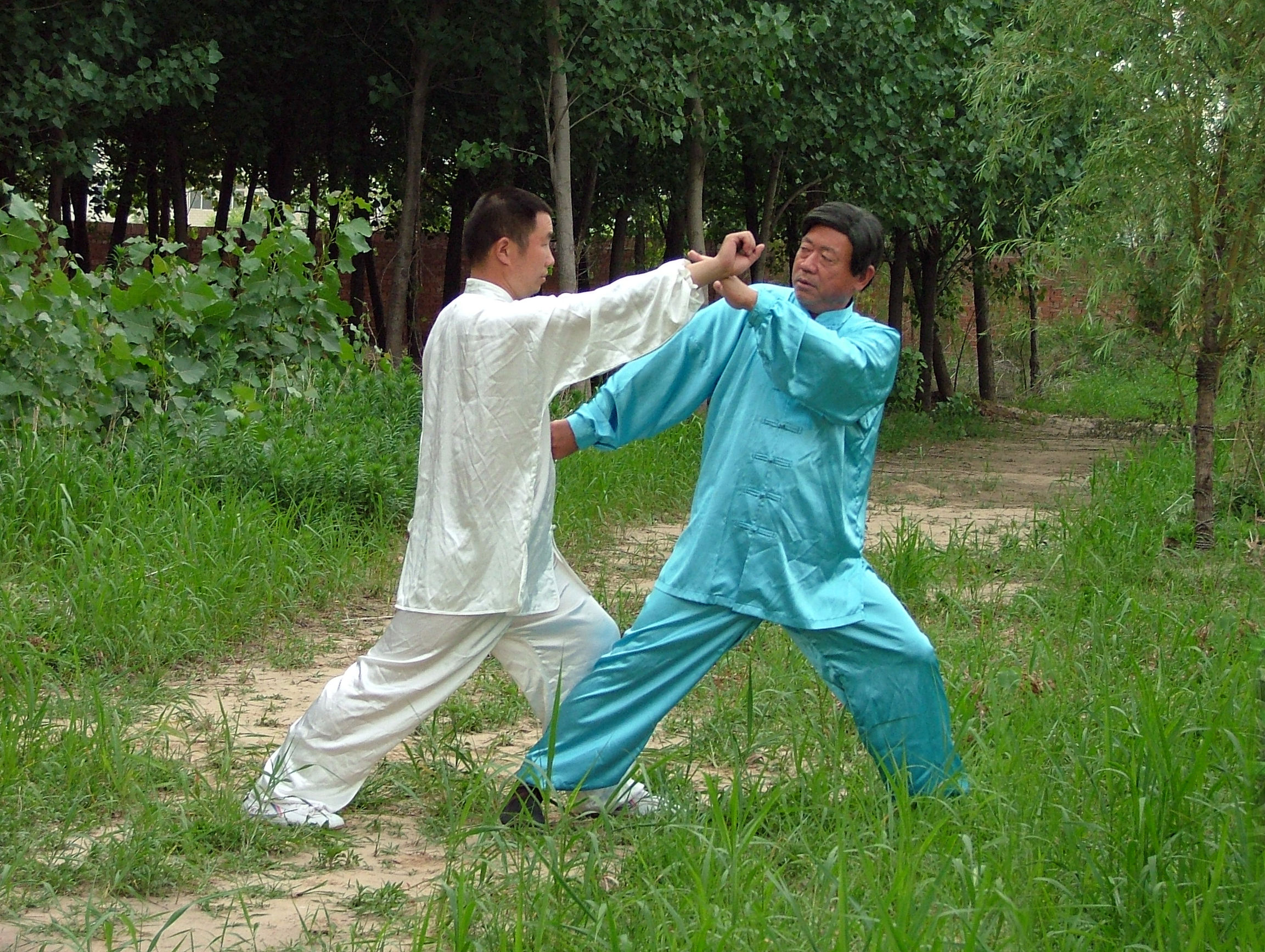 两仪拳点穴能速成吗,两仪拳点穴是什么原理