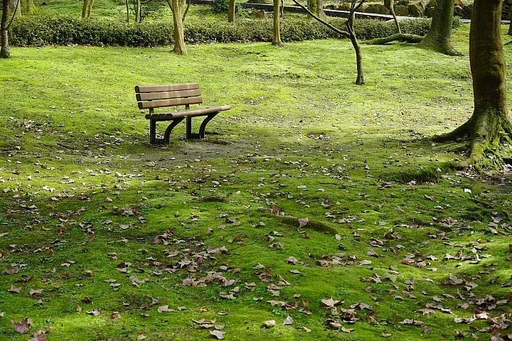 e-mount索尼,emount镜头焦段