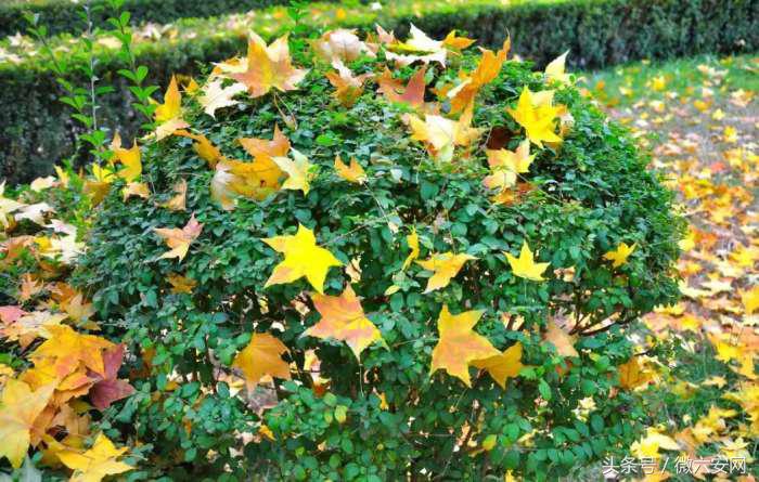 山东政法学院学费,山东政法学院宿舍