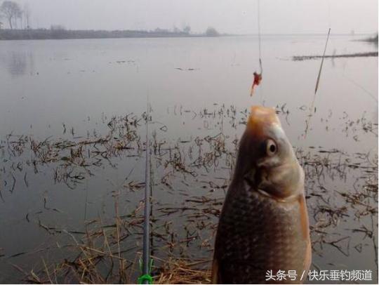 鱼钩钩型介绍,常见鱼钩钩型大小对照表