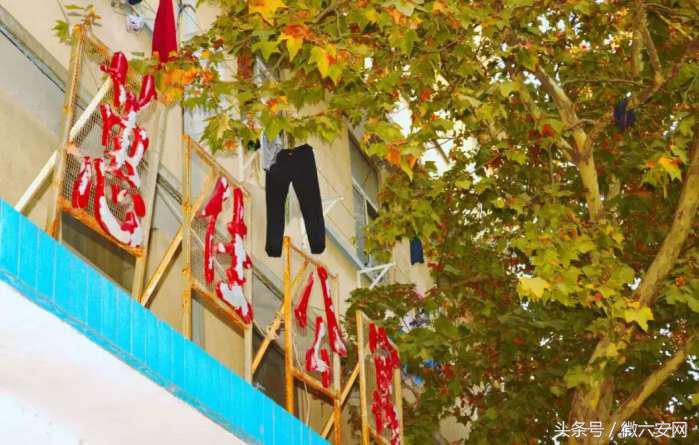 山东政法学院学费,山东政法学院宿舍