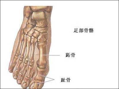 刀尖上的舞蹈一个人,刀尖上的舞者花样滑冰运动员