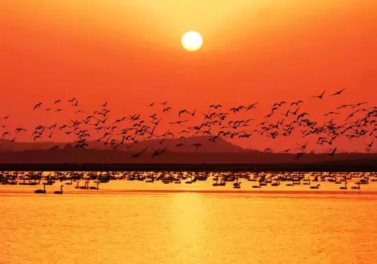 南昌自驾游攻略景点推荐一日游,南昌附近免费好玩的地方自驾游