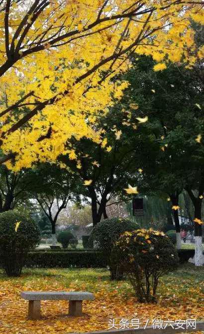 山东政法学院学费,山东政法学院宿舍