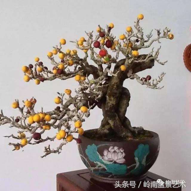 过年送礼好不好,过年送礼单数还是双数好