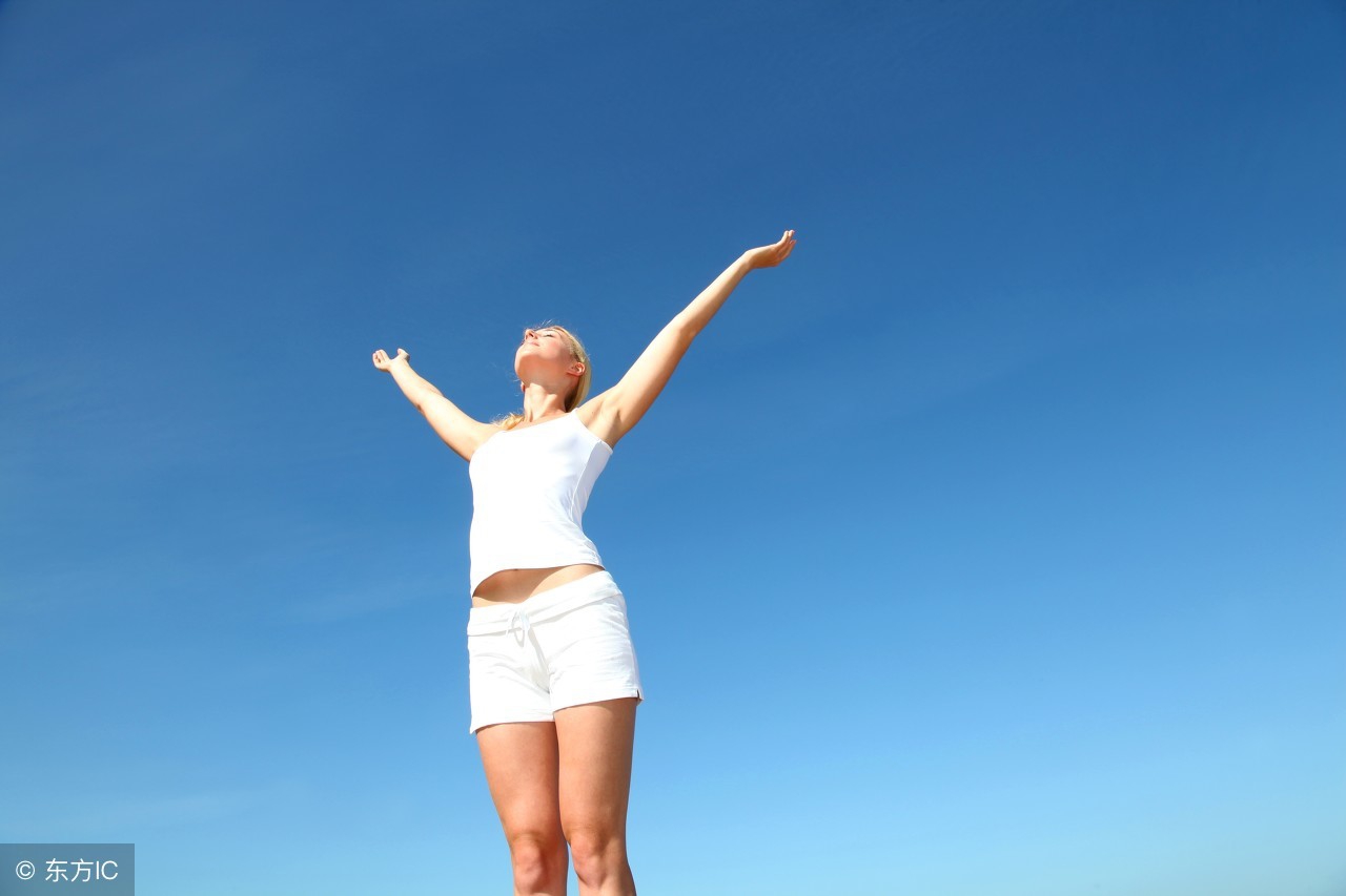 狗能吃海带么,海带能不能给狗吃