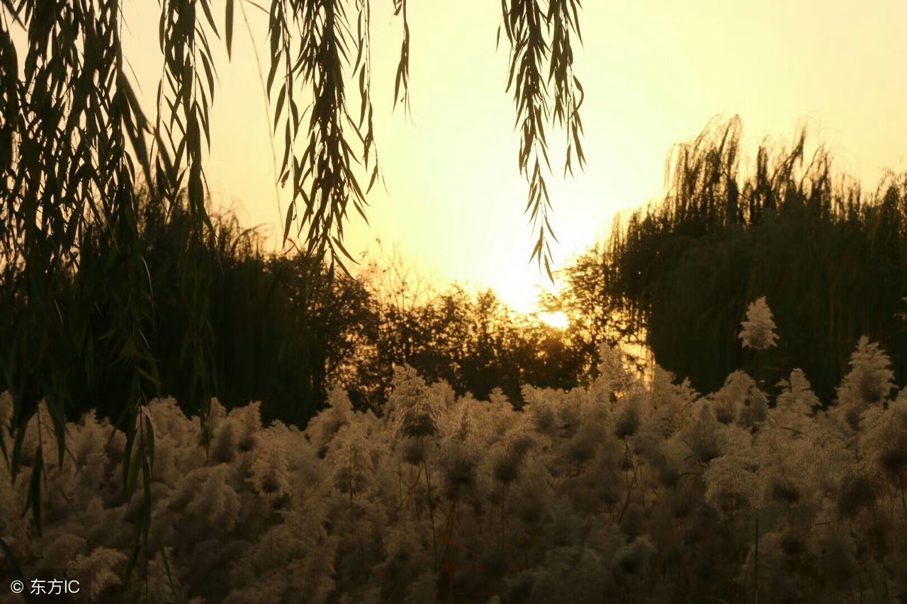 糖友血糖8.6空腹算正常吗,空腹血糖正常餐后血糖13需服药吗