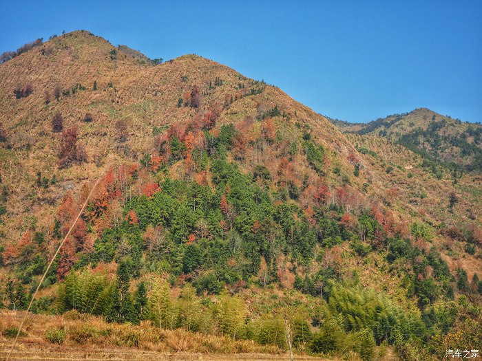 经典福克斯手动自驾游,福克斯stline自驾游