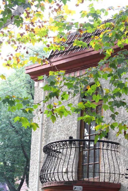 上海可以坐地铁去的古镇,上海国外风情的小镇