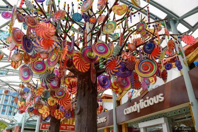 不太累的厦门旅游攻略,不累且便宜的亲子游