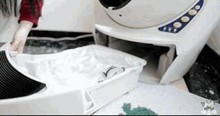 宠物猫自动喂食器推荐,宠物猫智能喂食器和智能喂水器