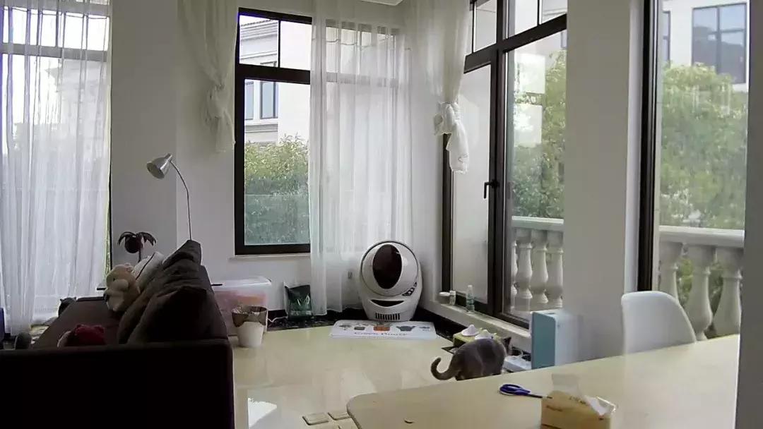 宠物猫自动喂食器推荐,宠物猫智能喂食器和智能喂水器