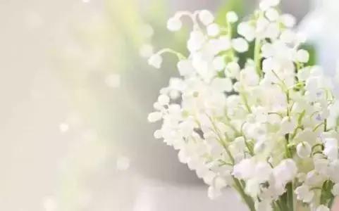 分享｜何家弘是谁？他在中国人民大学如论讲堂开了一场演唱会，座无虚席