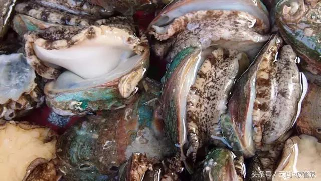 春节留深,去哪里买年货又省又全?