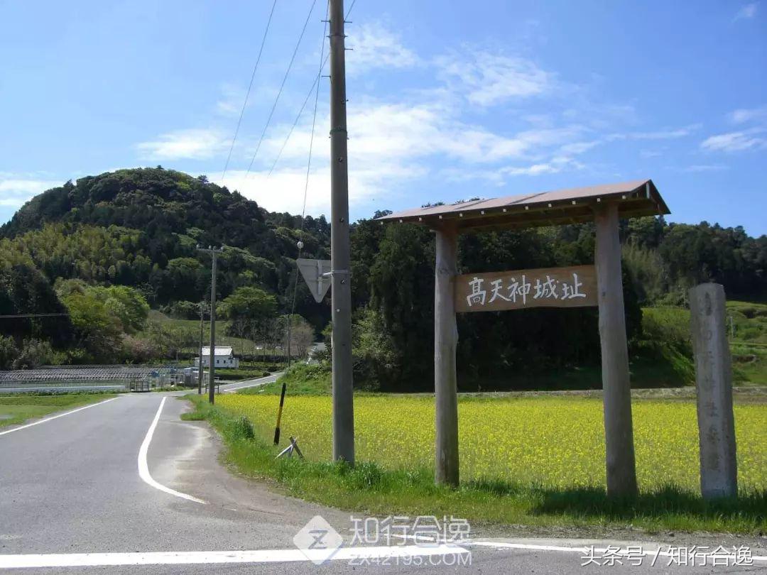 草莓补给，初春十里茶园为赛道，来挂川喝茶跑马！