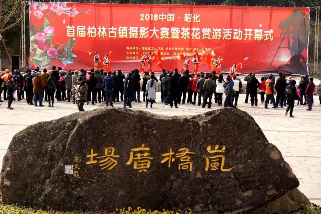 广元市柏林樱花节,广元柏林大型樱花节