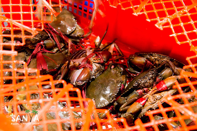 三亚离海南有多少公里,三亚一生去几次