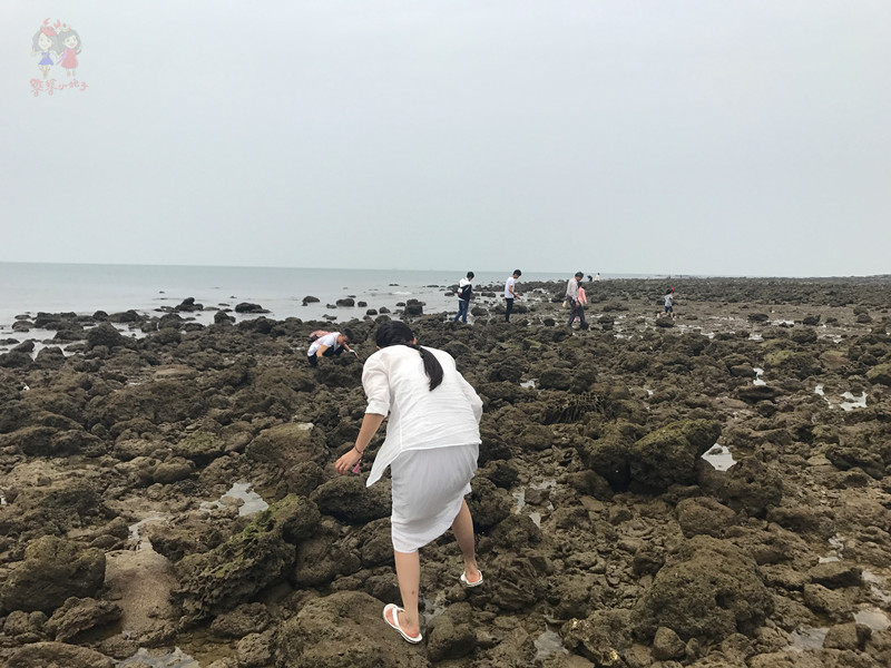 火山石晒盐，活珊瑚与苏东坡的晚年——我在海南画了一个圈儿,6