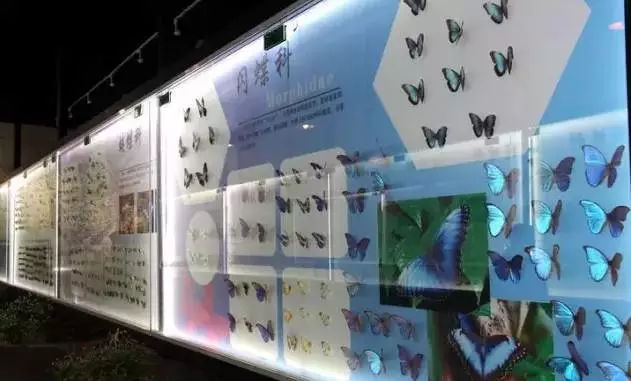 鏂版槬浣宠妭鍒板勾鍛虫棩娓愭祿,鏄ヨ妭鍒板枩姘旀磱娲嬭繋鏂板勾