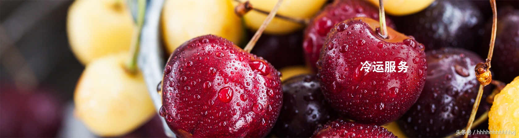 顺丰快递公司的企业标志,顺丰快递logo设计历程