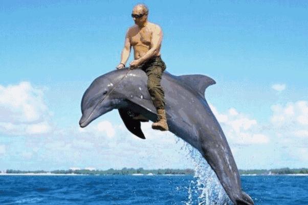 麦当劳薯条治疗脱发,麦当劳薯条掉头发