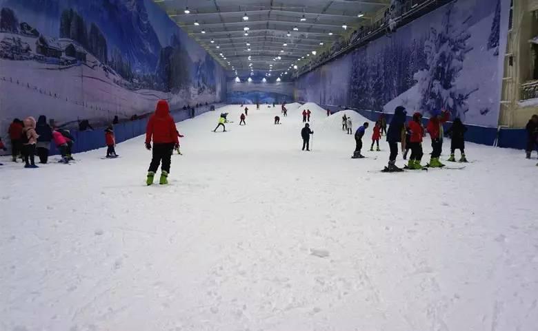 新春旅行去哪里,新春出游目的地