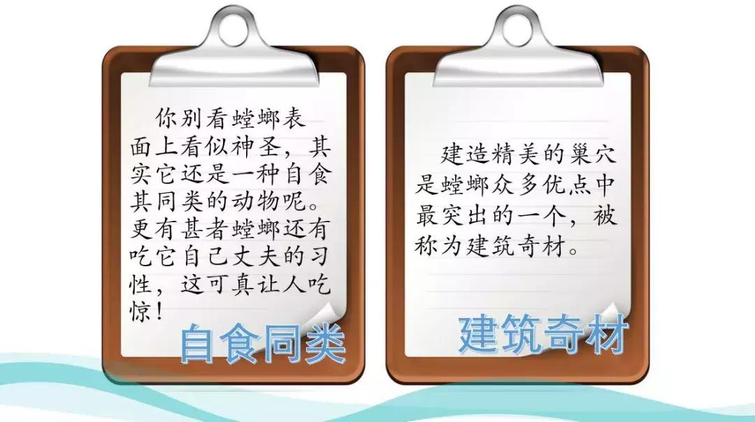 如何让孩子学会阅读提升自己,10节课让孩子学会高效阅读