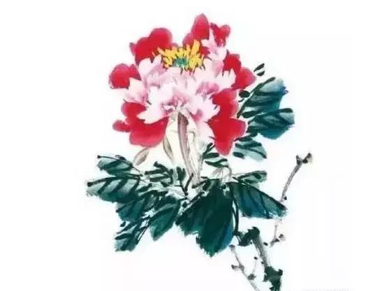 果果小写意牡丹画法教学视频,王绣写意牡丹画法零基础视频