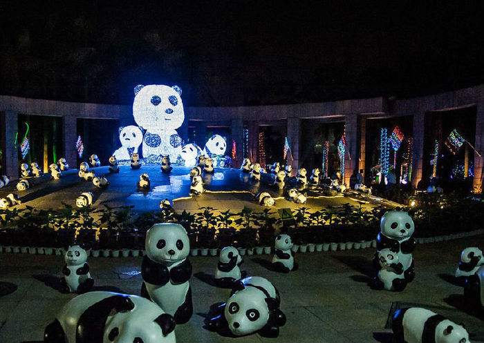 金华近期活动,金华市最新活动