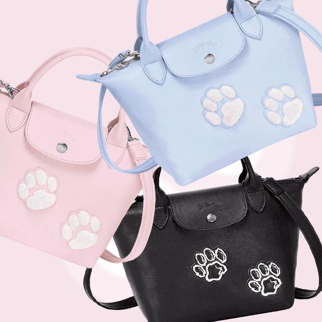 囧！LV、Gucci、Dior的狗年限量款！你们考虑过狗的感受吗？