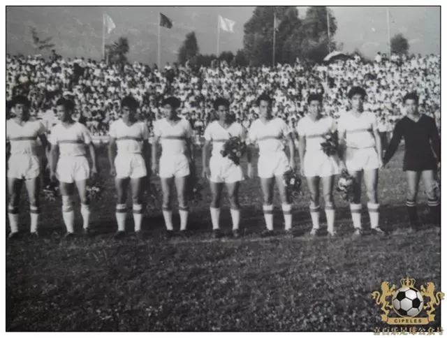 津门足坛双百颂张亚男,津门足坛双百颂书籍