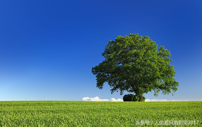 白手一年赚30万的生意,如何白手快速赚钱