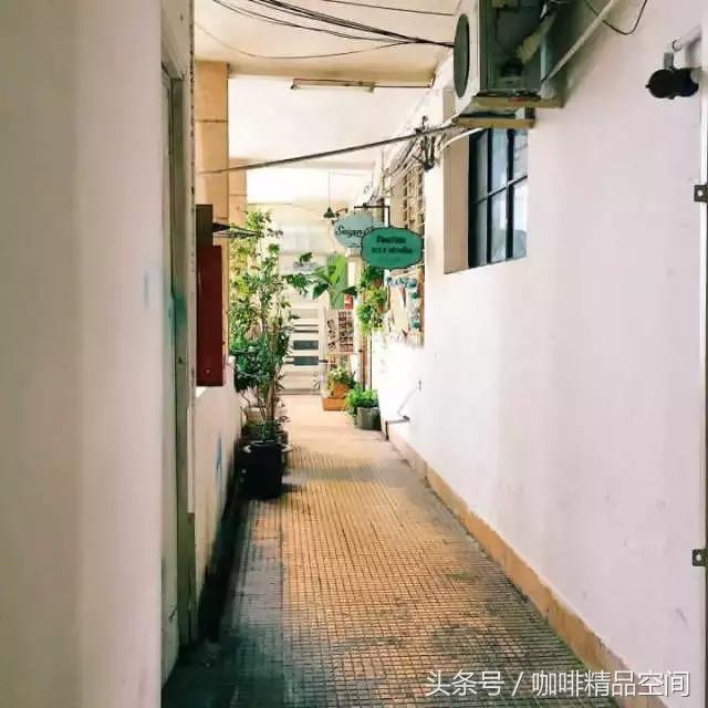 越南咖啡和云南咖啡,越南咖啡与后谷咖啡哪个好