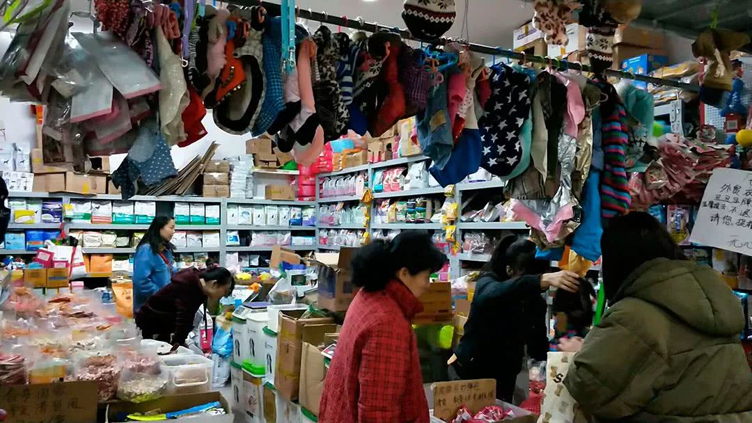 北京：大爷大妈和老狗狗们的幸福生活