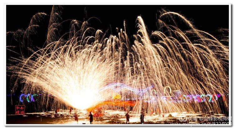 鄢陵花木博览会,鄢陵县西山区中原花木博览会