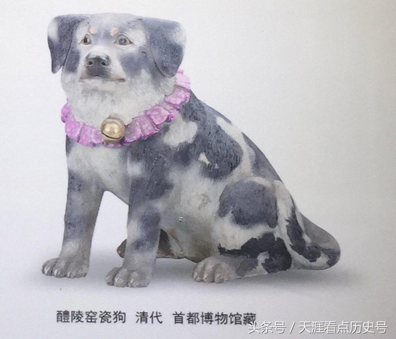 狗年说狗漫谈中国古代的狗,狗年说狗的传说